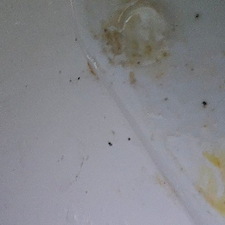 Professional-Commercial-Water-and-Ice-Maintenance-in-Pensacola-FL 8